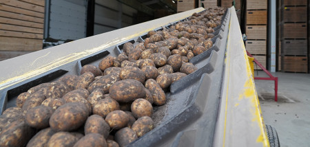 aardappelen Innovator inschuren Agrifoto2