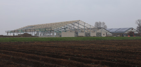 stal nieuwbouw melkveebedrijf Stallenbouw