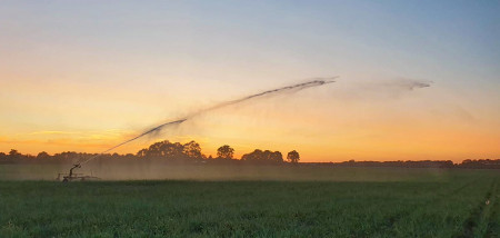 Gewastour zomer zaaiuien Gewastour2020 zomer 2020 beregening