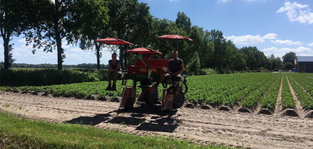 Boerenbusiness De Bont