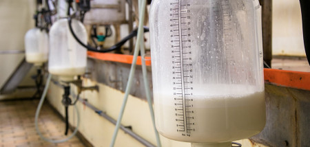 Eko-Holland houdt bio-melkprijs oktober stabiel