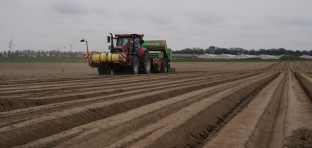 planter des pommes de terre en Pologne