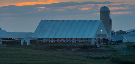 melkveebedrijf Verenigde Staten