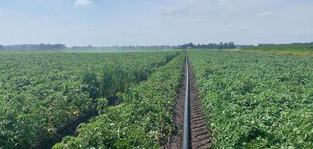 aardappelen Gewastour2020