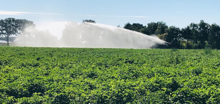 aardappelen Gewastour2020 beregening
