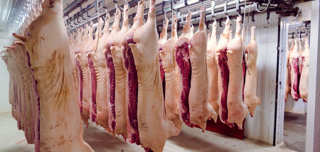 Brussel voorziet forse exportdaling varkensvlees