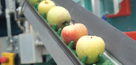 foodbusiness appels fruit