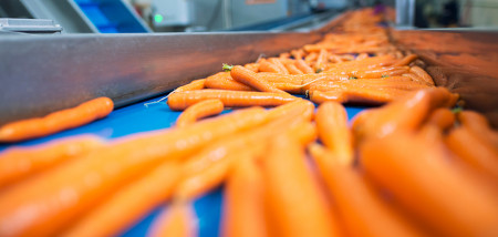 entreprise alimentaire de carottes