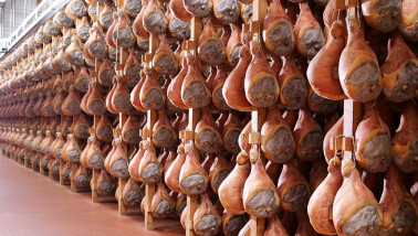 Volle vleesmarkt ontneemt elk perspectief varkensprijs