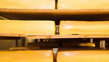 Kaasproductie in een zuivelfabriek