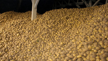 aardappelen aardappelbewaring frankrijk