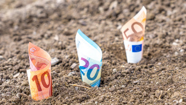 Stijgende kredietkosten op til voor Nederlandse boer