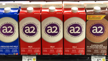 A2 melk