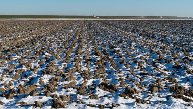 Sneeuw bedekt een akkerbouwperceel in de winter