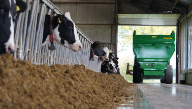 Britse melkveehouders hebben personeelstekort