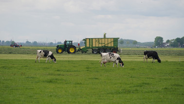 melkveebedrijf grasoogst
