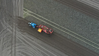 Oogst van aardappelen, akkerbouw