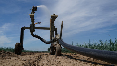 Beregening van akkerland