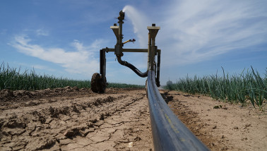 Beregening van akkerland