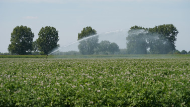 Beregening van akkerland