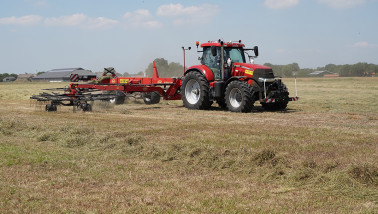 Grasoogst op het land, waarbij gras wordt gemaaid voor ruwvoer.