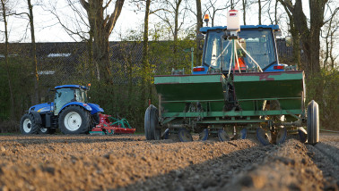 aardappelen aardappelen poten