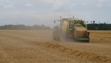 stro persen balenpersen