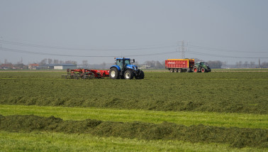 Grasoogst op het land, waarbij gras wordt gemaaid voor ruwvoer.