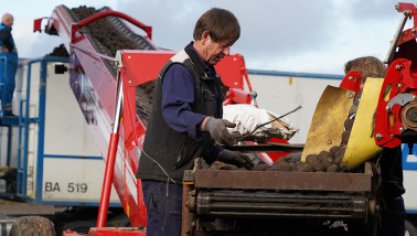 Oogst van aardappelen, akkerbouw