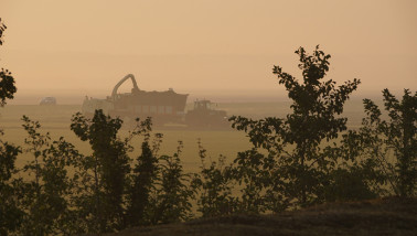 Grasoogst op het land, waarbij gras wordt gemaaid voor ruwvoer.