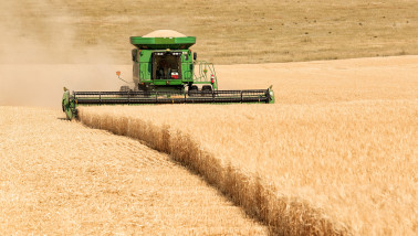 récolte de céréales moissonneuse-batteuse récolte de blé États-Unis