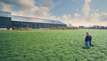Zonnepanelen op het dak