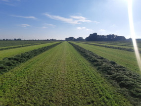 veldwerk Ruwvoertour 2021