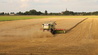 graanoogst combine