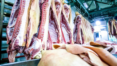 Filipijnen zijn lichtpuntje voor export varkensvlees 