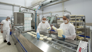 melk zuivel melkverwerking zuivelindustrie
