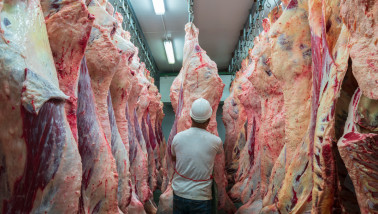 'Coronapiek kan prijstop rundvlees afschaven'