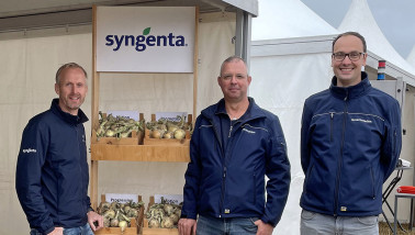 Syngenta Seeds