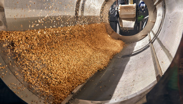 céréales céréales transformation des céréales grain - nourriture