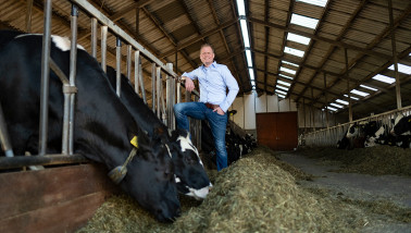 DOC Kaas Guus Mensink