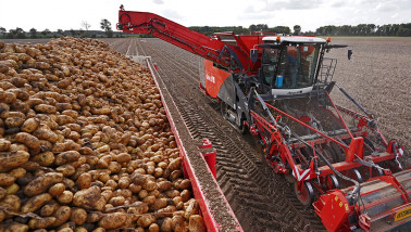 Oogst van aardappelen, akkerbouw