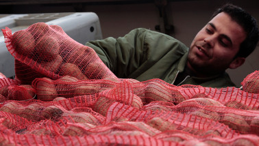 aardappelen aardappelexport