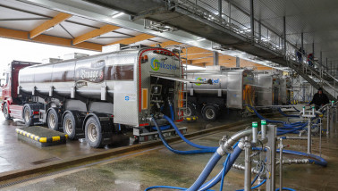 Melkwagens van Milcobel die verse melk van boerderijen naar de zuivelfabriek vervoeren