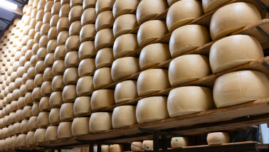 Proces van het maken van Parmigiano Reggiano, harde Parmezaanse kaas