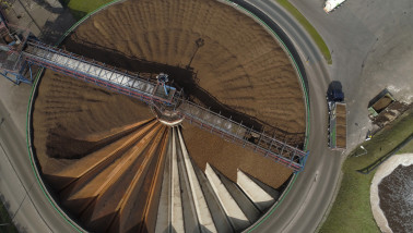 Aardappelen worden aangevoerd bij fabrieken voor verwerking tot aardappelzetmeel en aardappeleiwit
