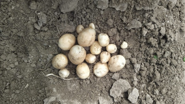 knolzetting Gewastour 2022