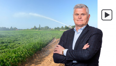 aardappelen droogte beregening
