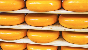 Kaaswielen op houten planken