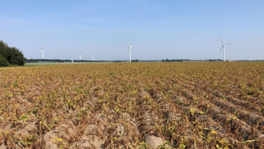 aardappelen Gewastour 2022