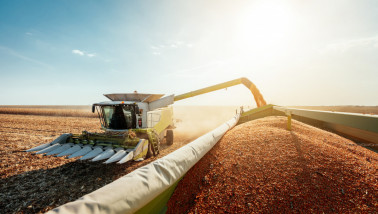 Hakselaar oogst korrelmais